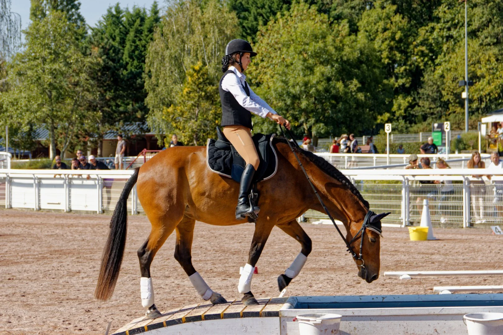 IMG_9909_DxO.jpg