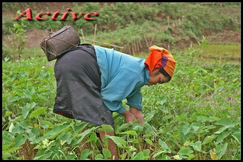 Vietnam