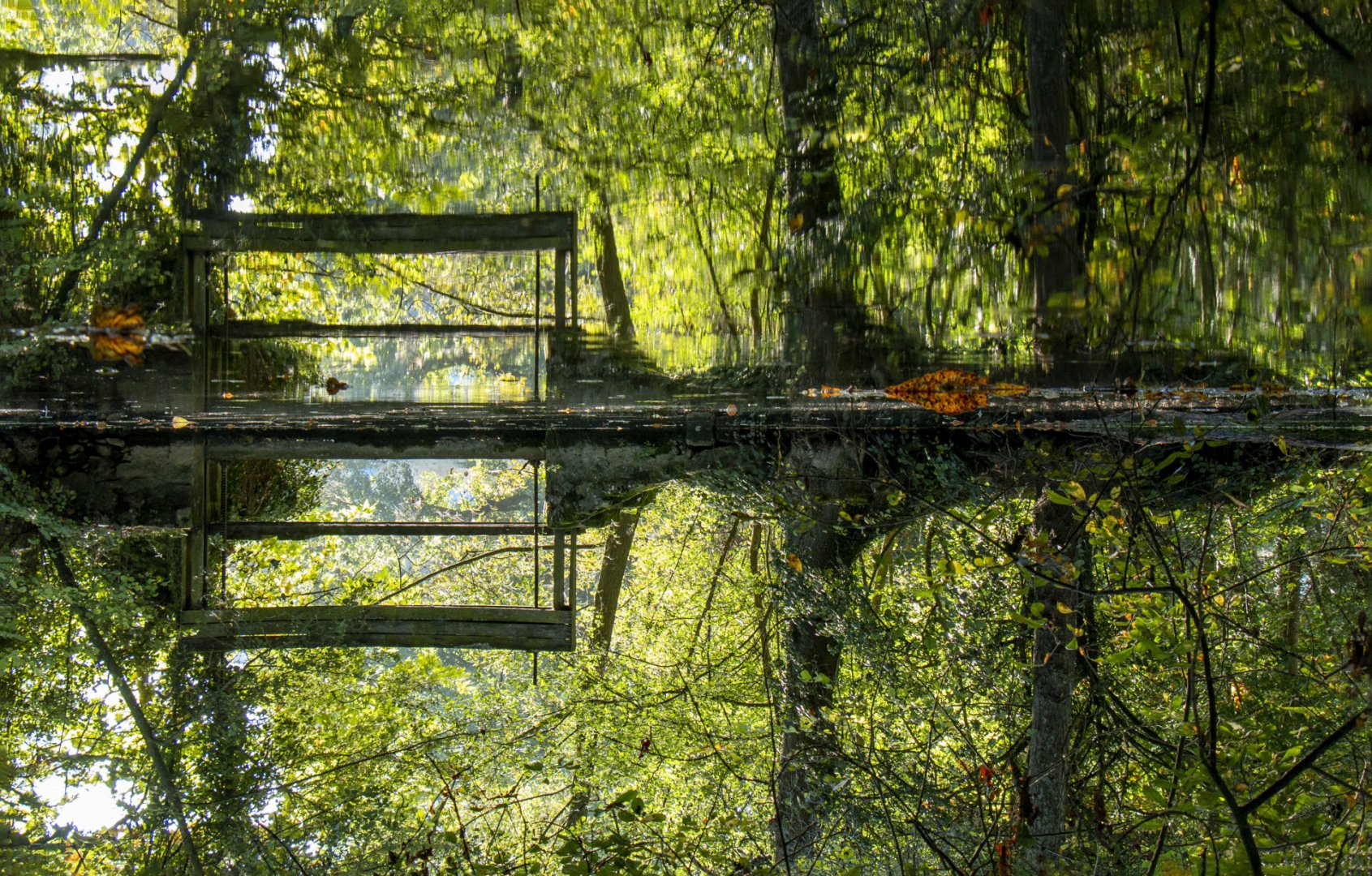 Reflet-oui-mais-ou.jpg