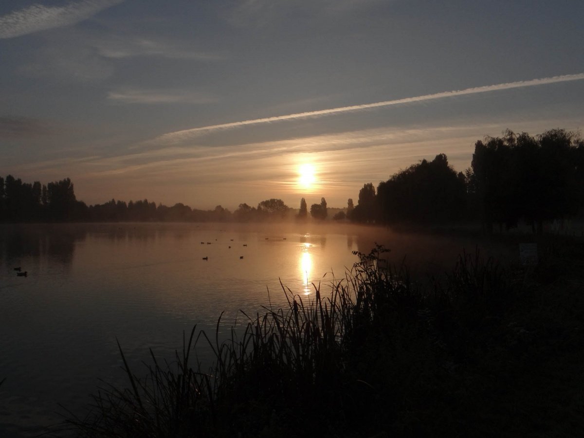 matin-douceur.jpg