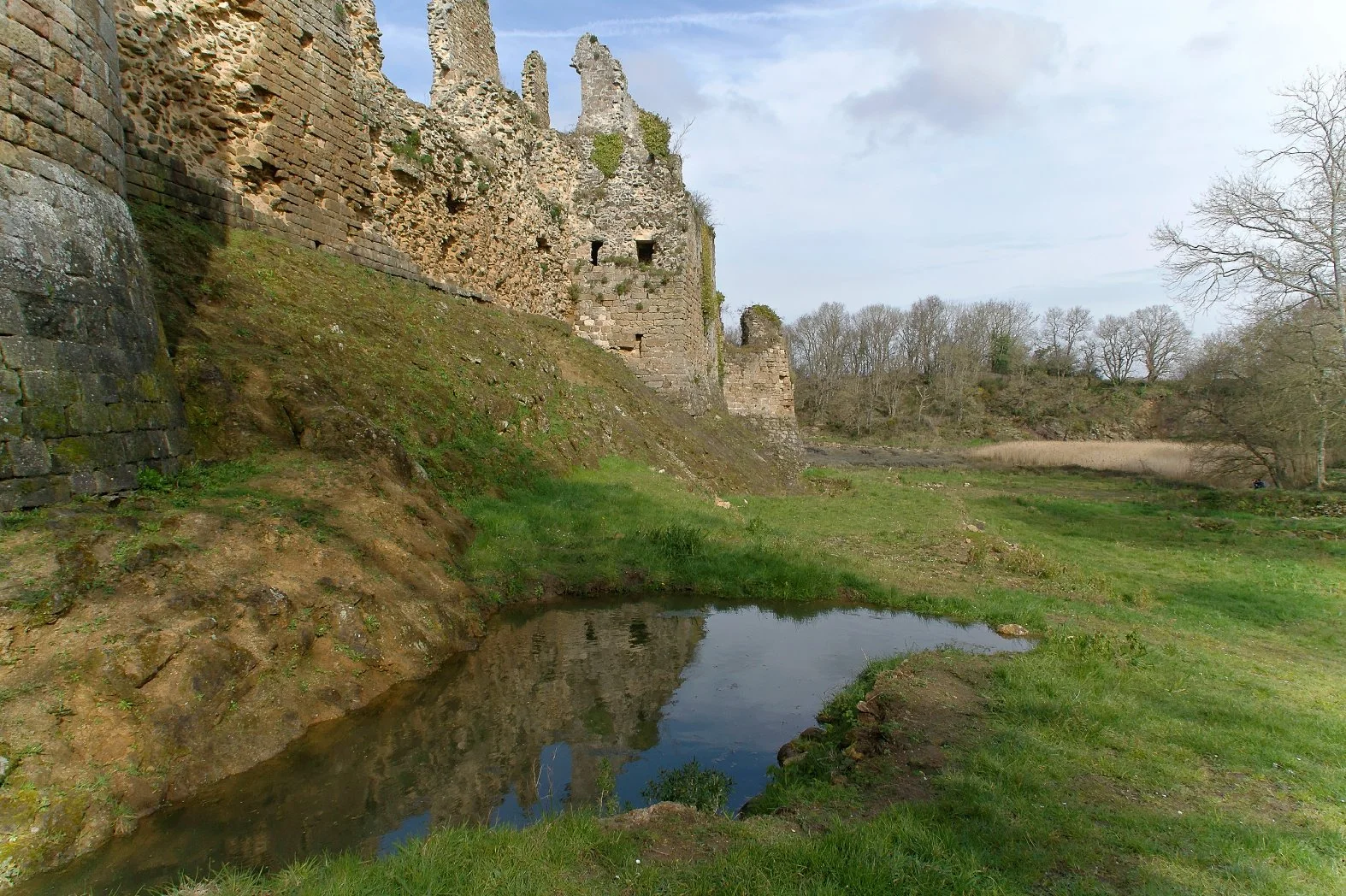DSC06057li.jpg