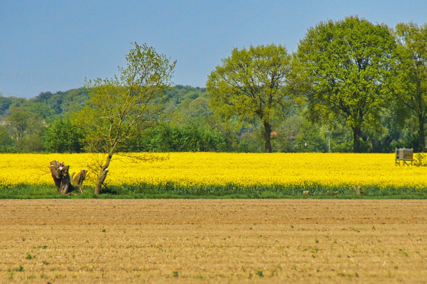 Couleurs-du-printemps.jpg