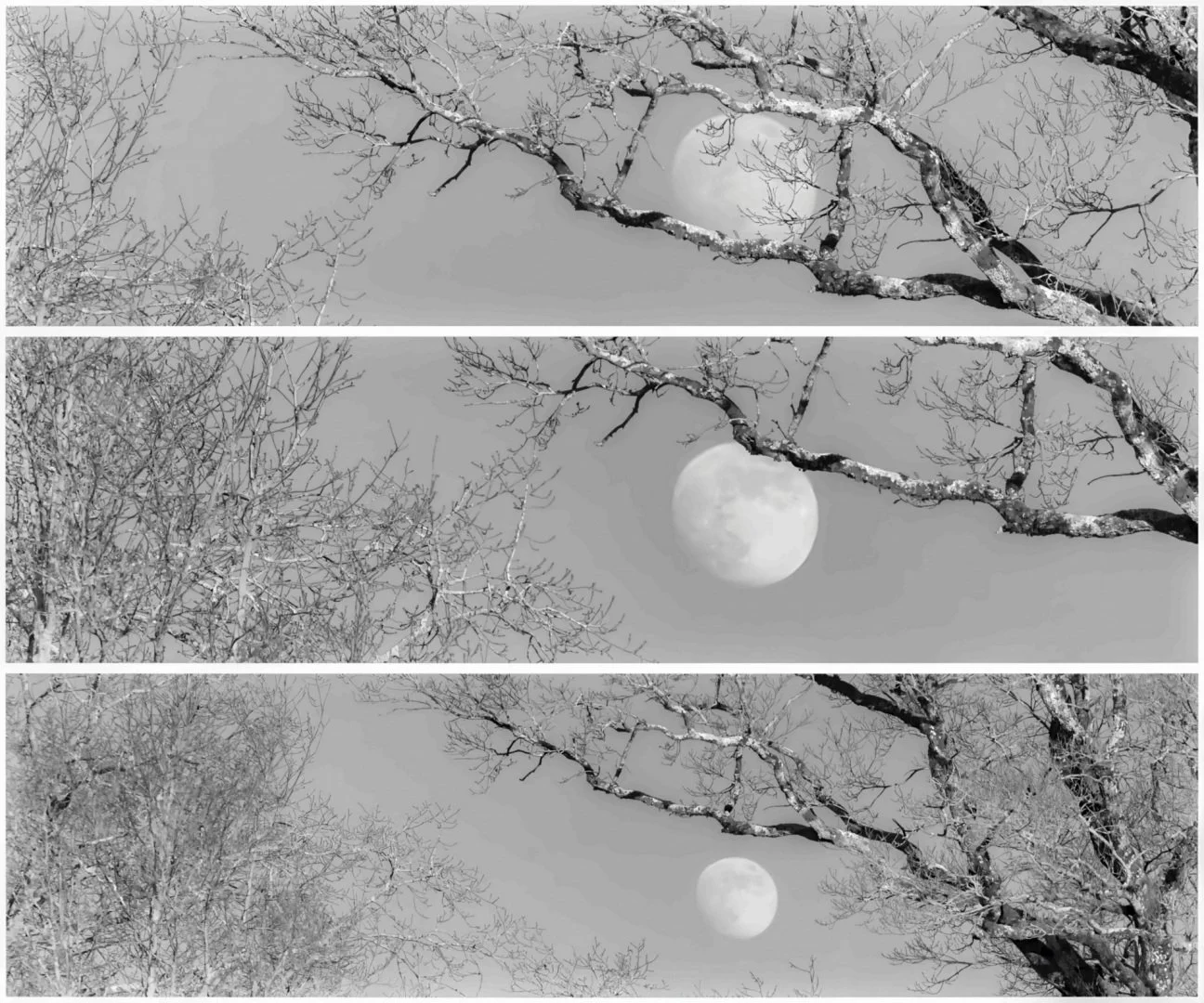 Decrocher-la-Lune.jpg