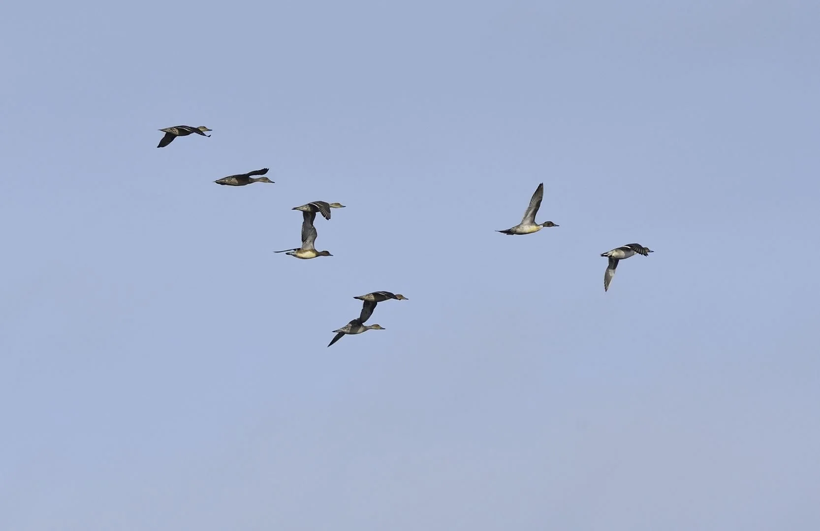 dsc4743-copie_04224a.jpg