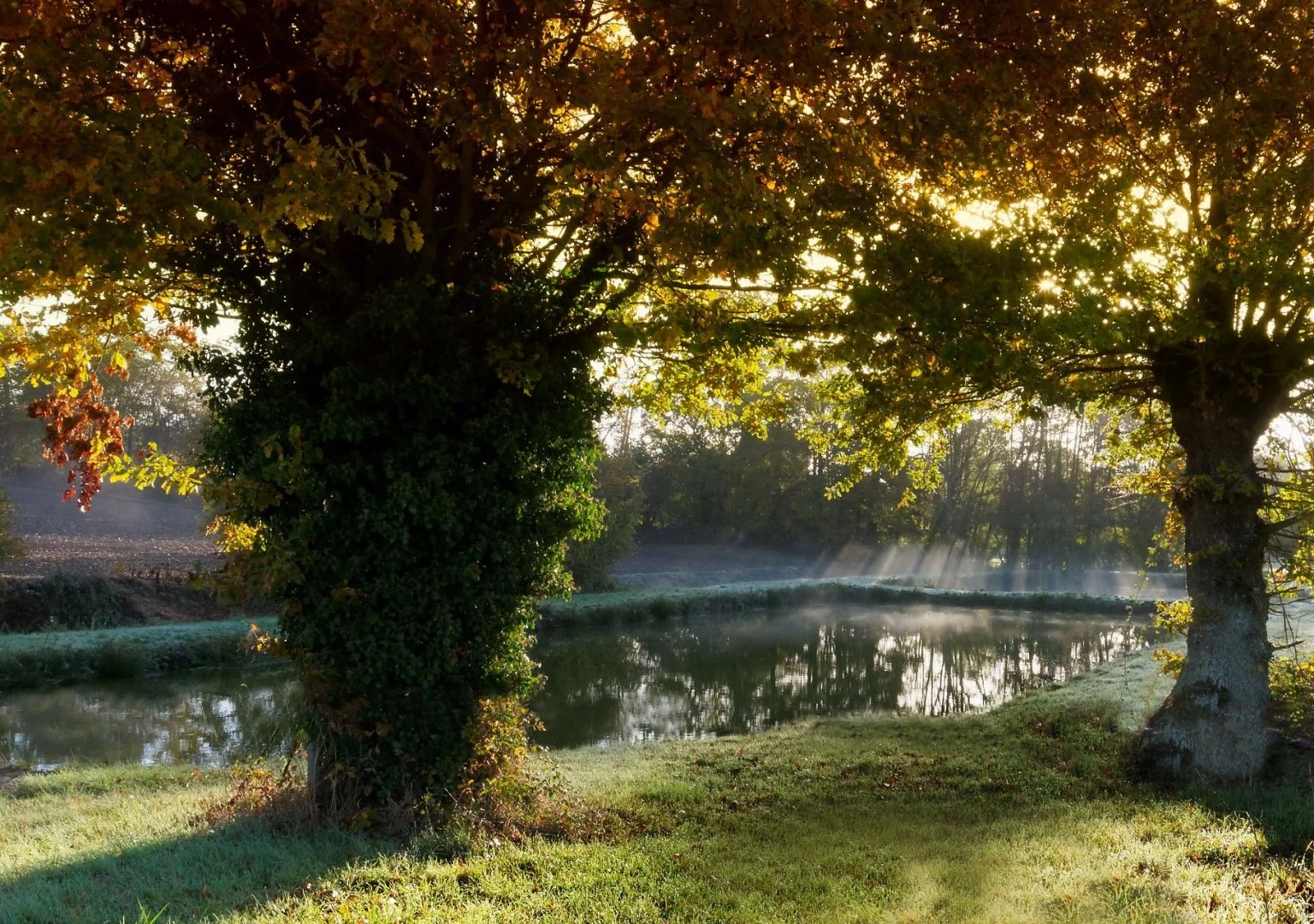 Premiers-rayons.jpg