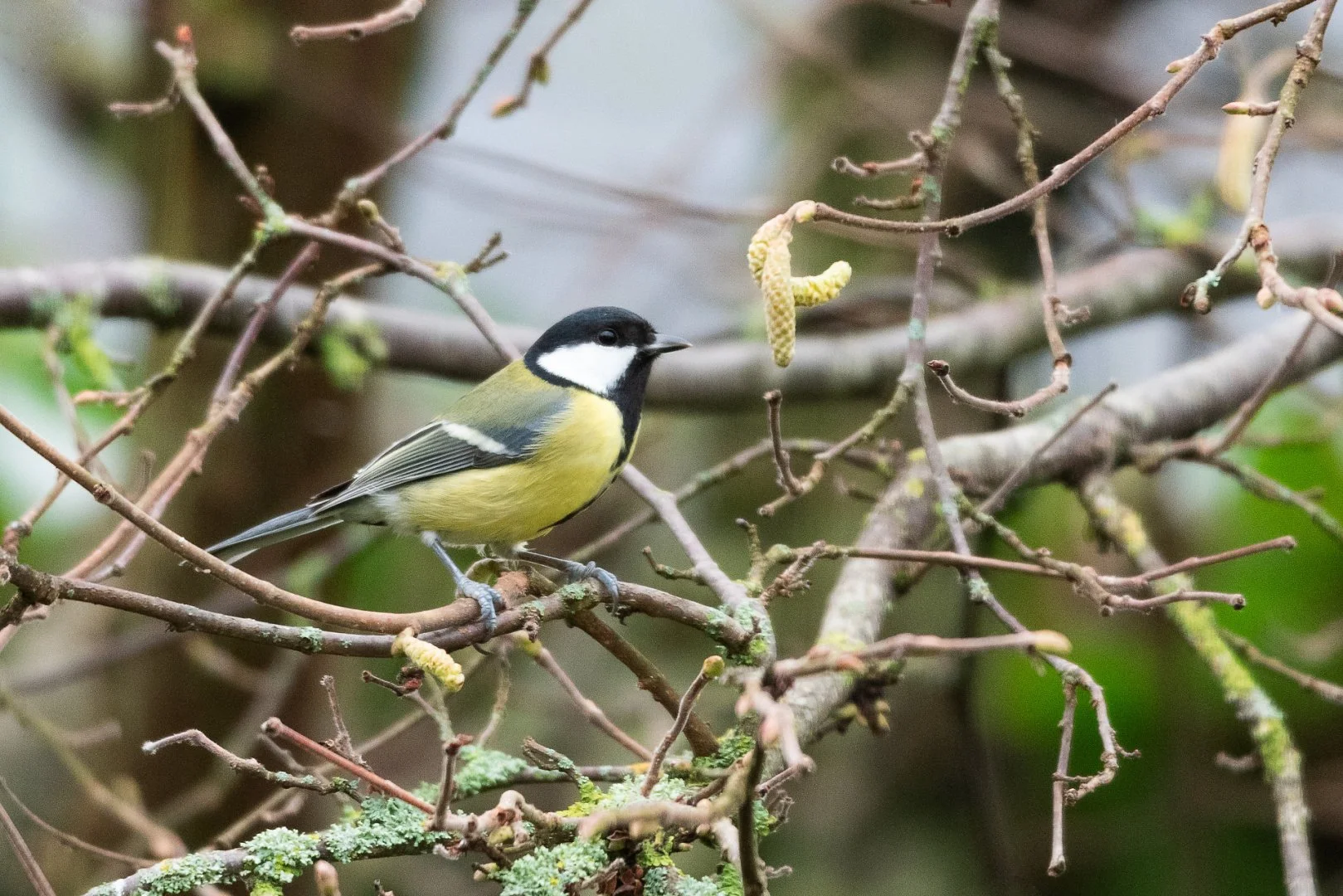 NB1221-07-f6.3s320iso1600.jpg