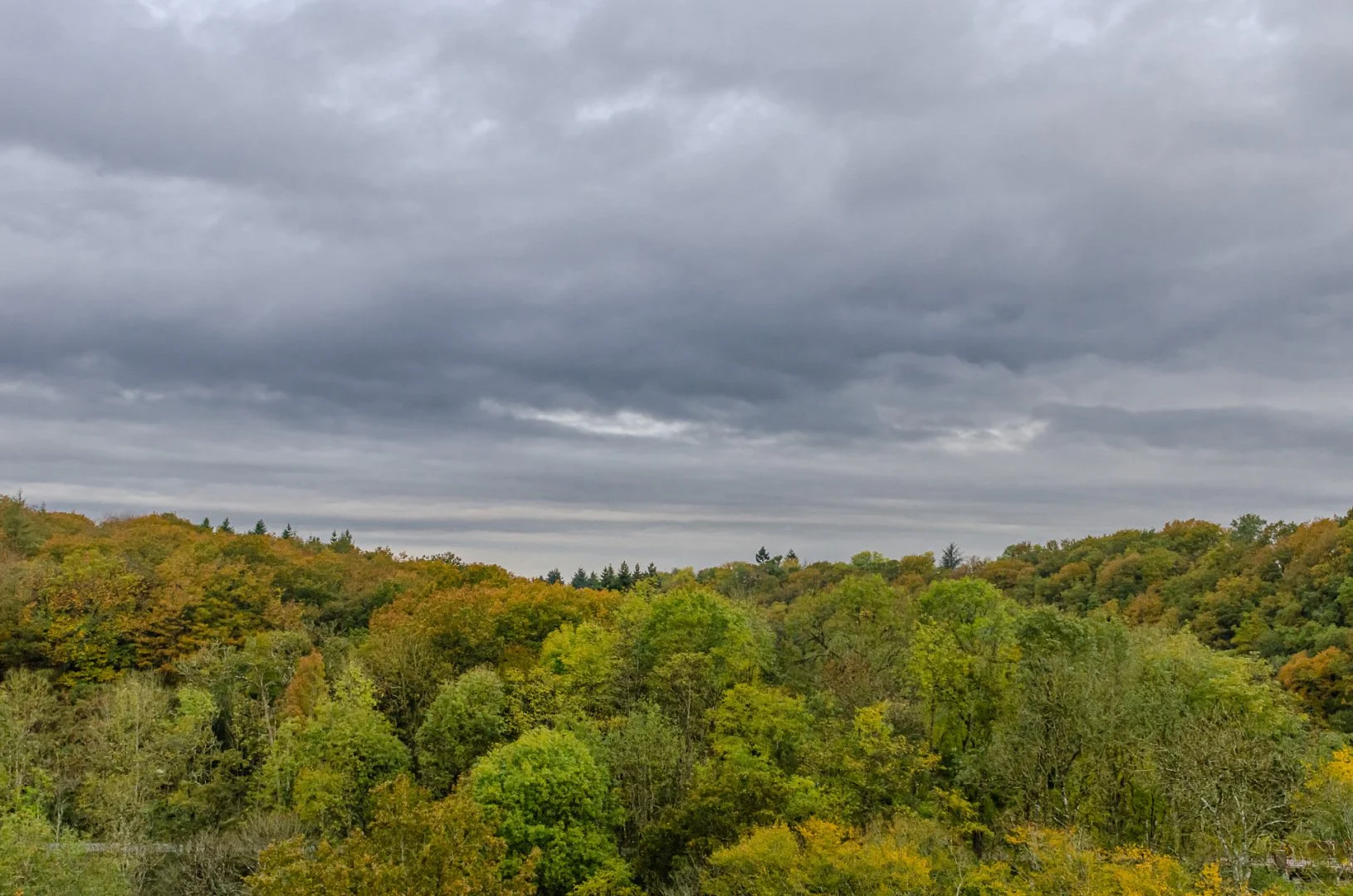 21_10_30-10_21_15-_DSC4324.jpg
