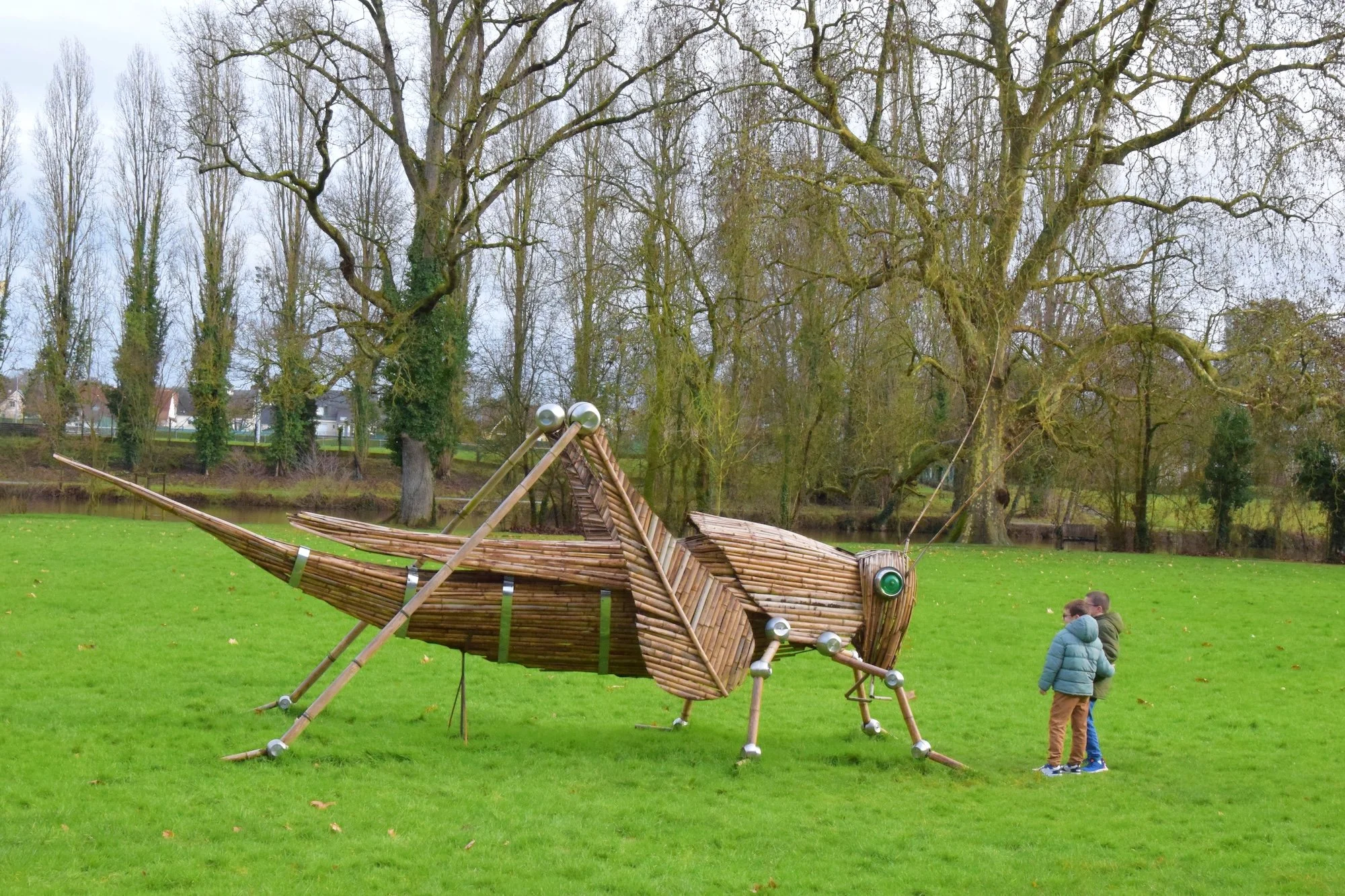 La sauterelle du parc des Ondines.JPG