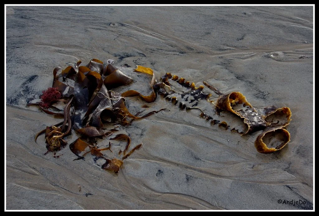 09ParamePlage.jpg