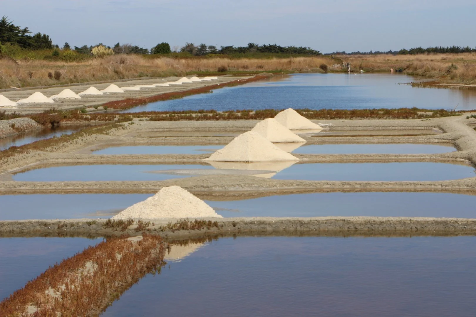 Les-marais-salants.jpg