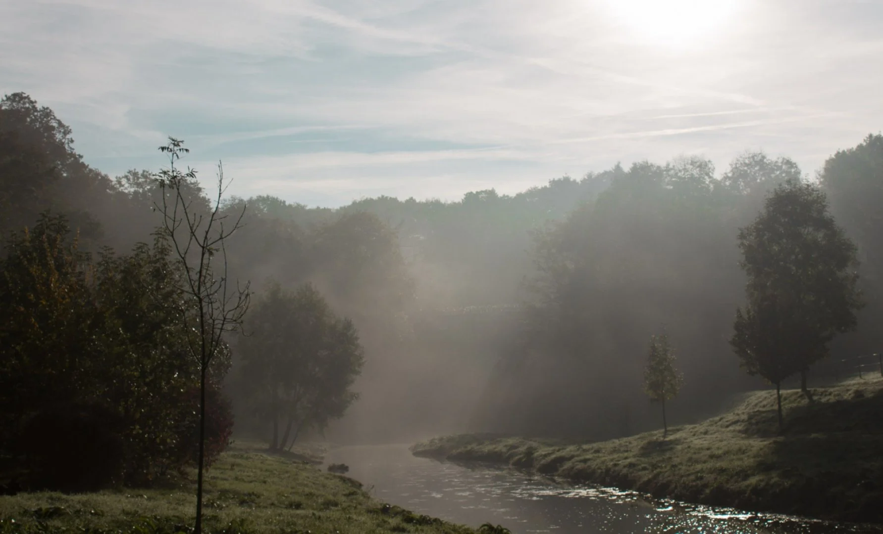 Brume-sur-lOudon.jpg