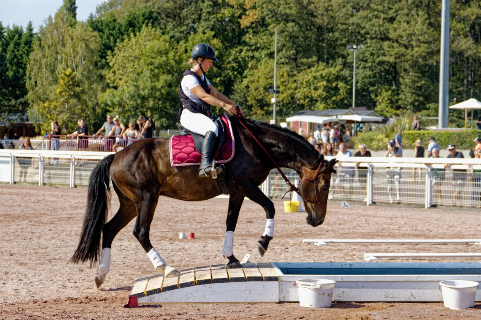 IMG_9946_DxO.jpg