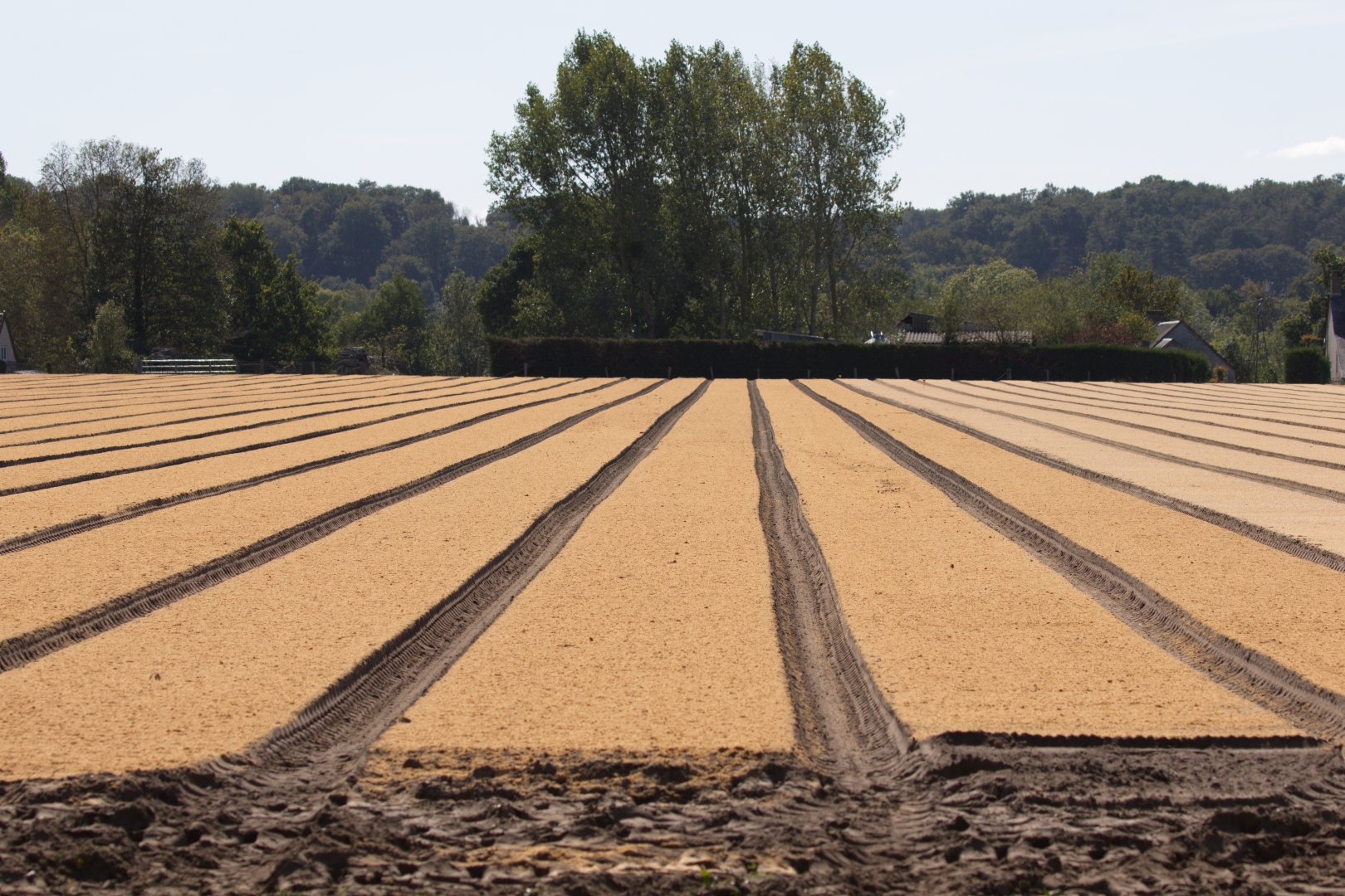 Lignes_03.jpg