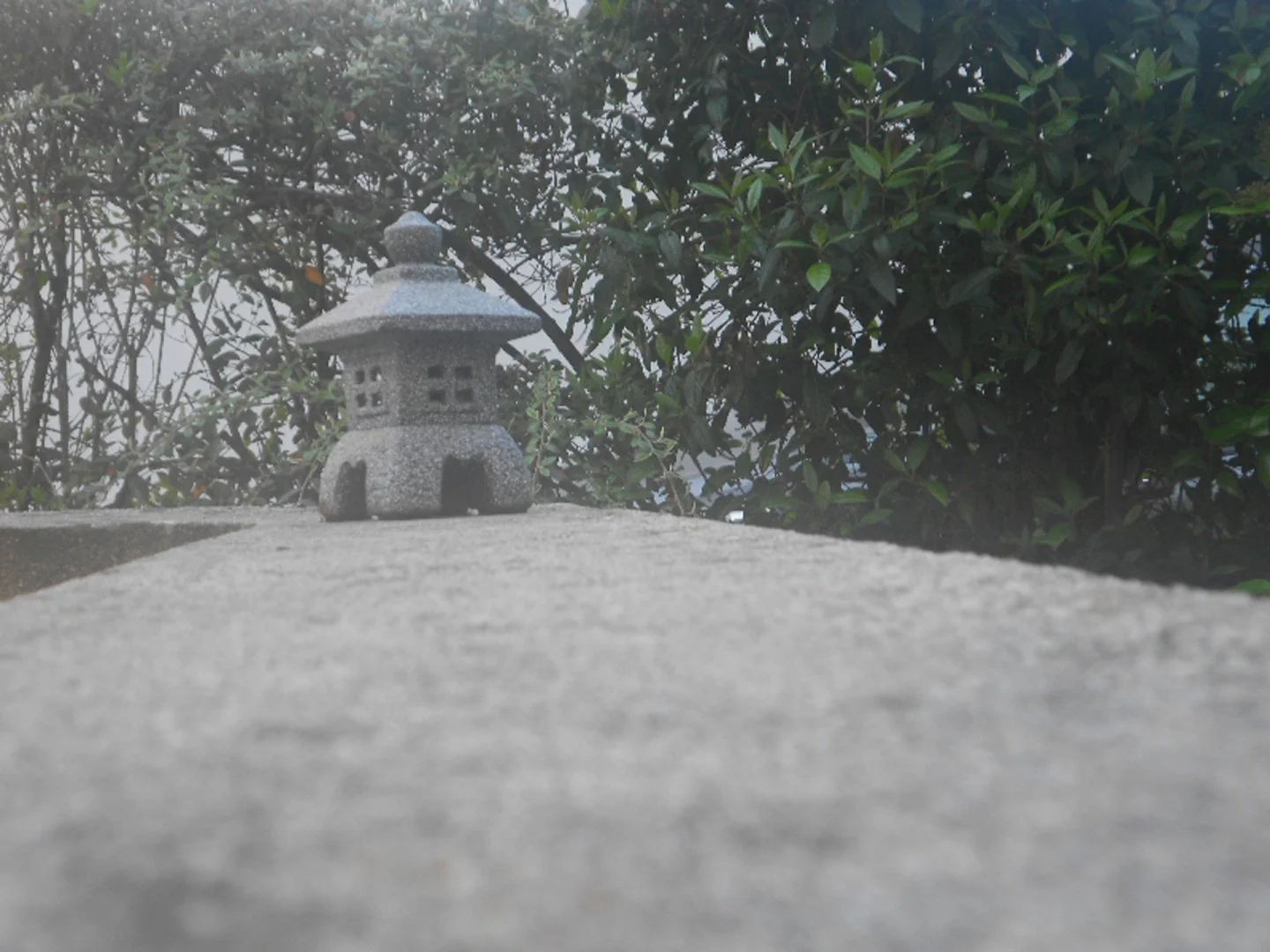 En-route-vers-le-temple..jpg