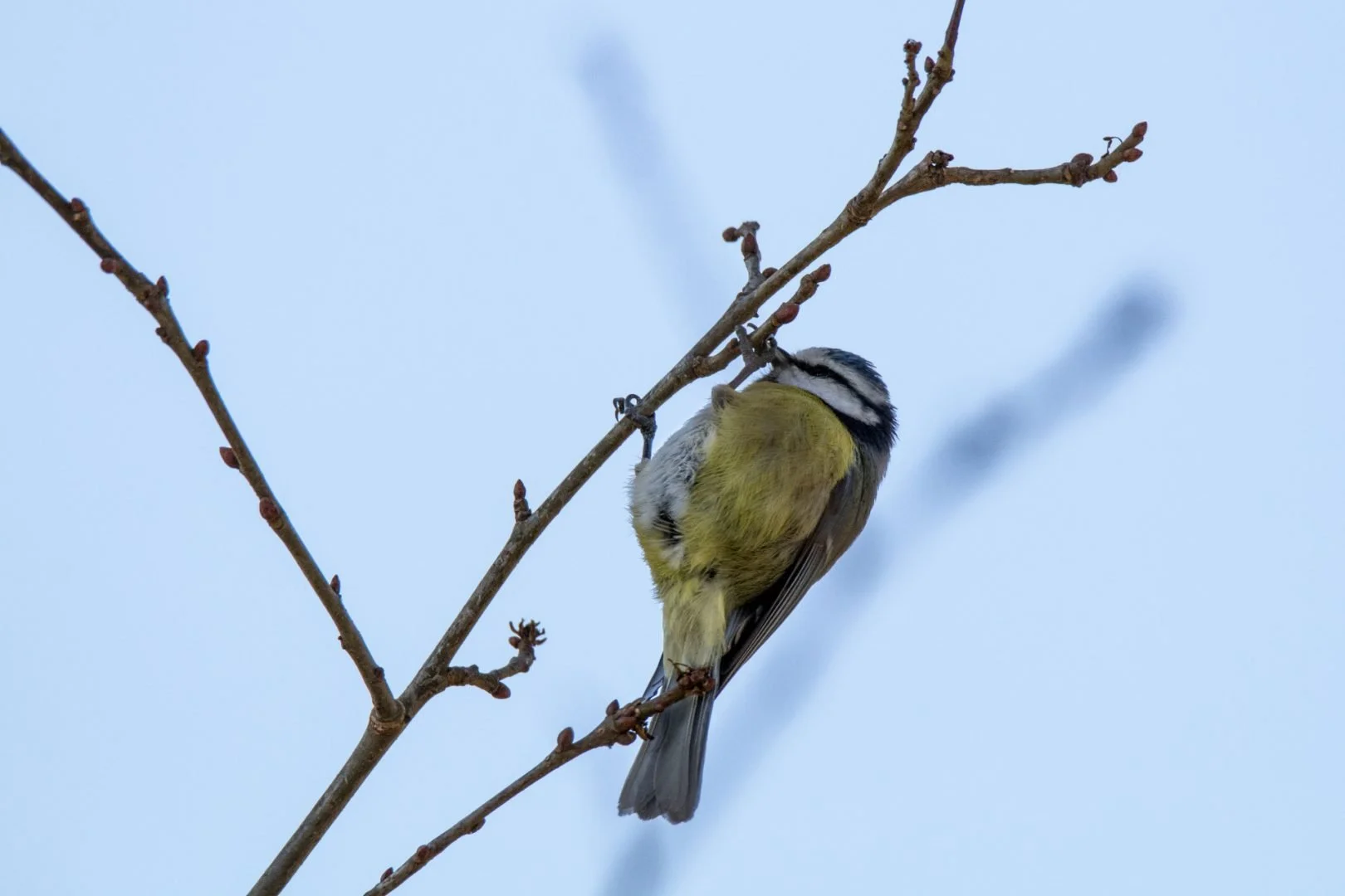 MG_5555.jpg