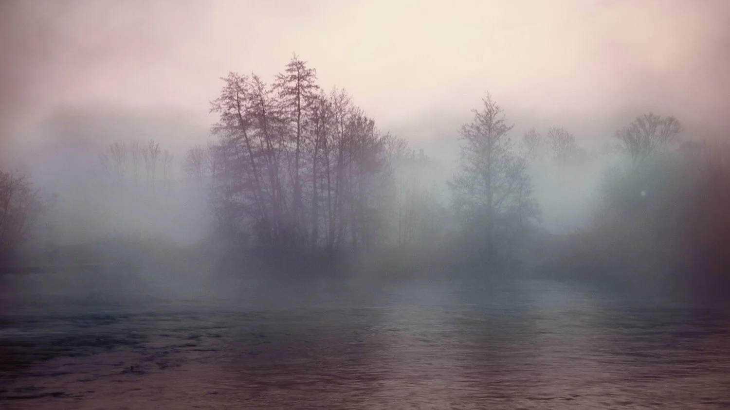 02-Quand-le-brouillard-retient-le-soleil-matinal.jpg