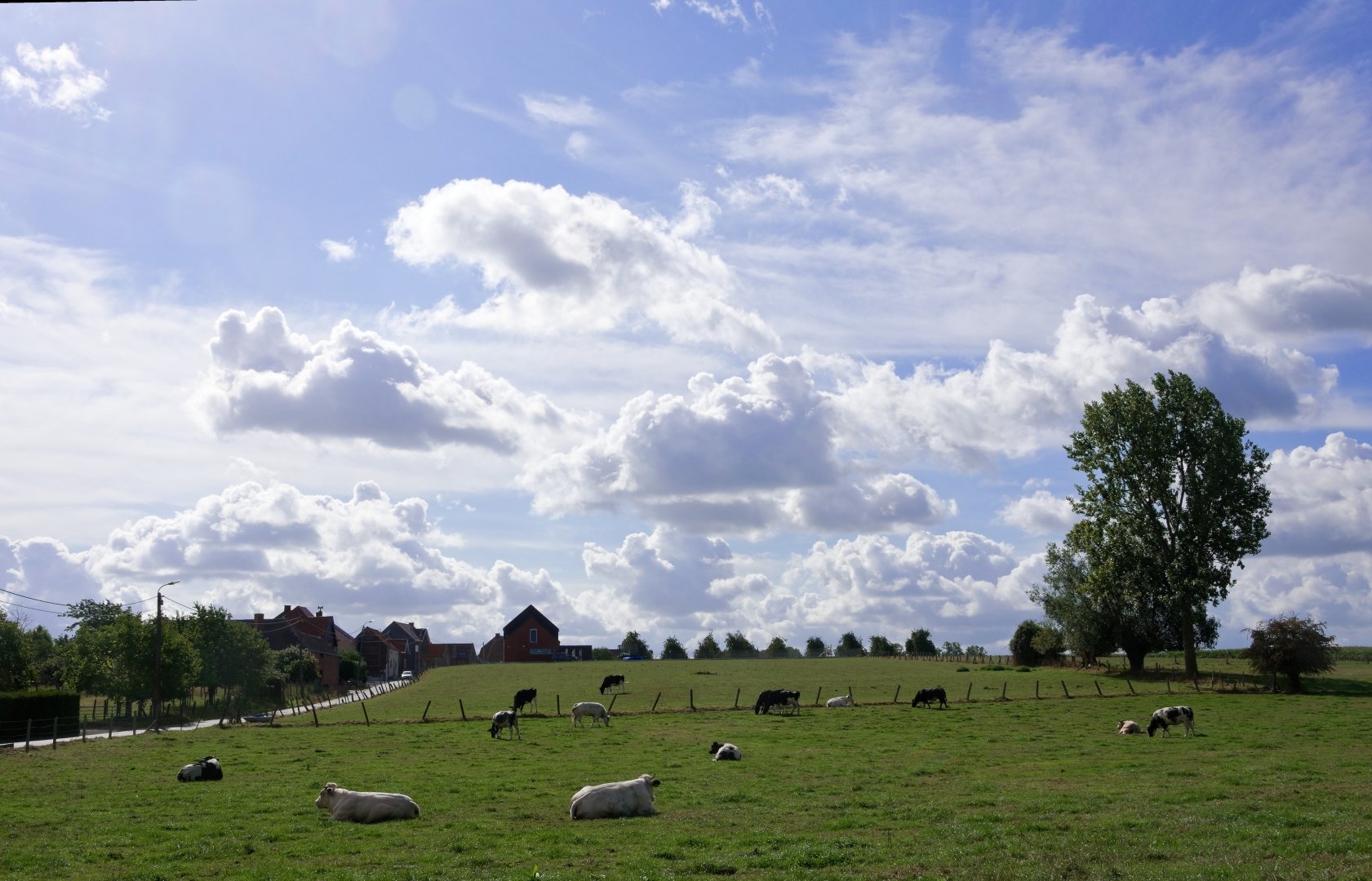 Mont-flandrien.jpg