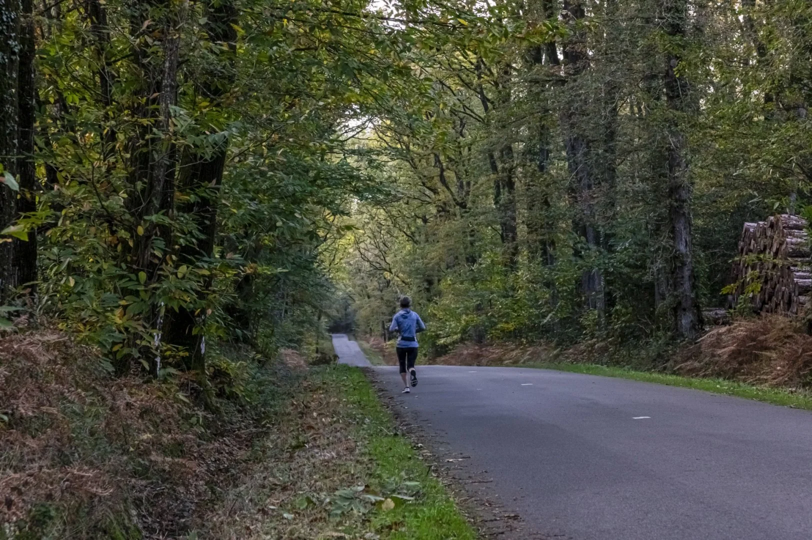 Jogging-sur-une-route-forestiere.jpg