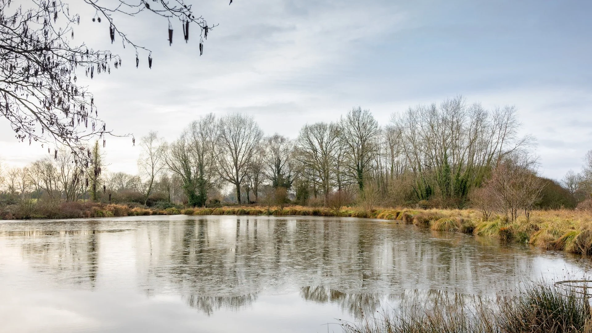 PF-26-01-Etang-de-la-Fenderie.jpg