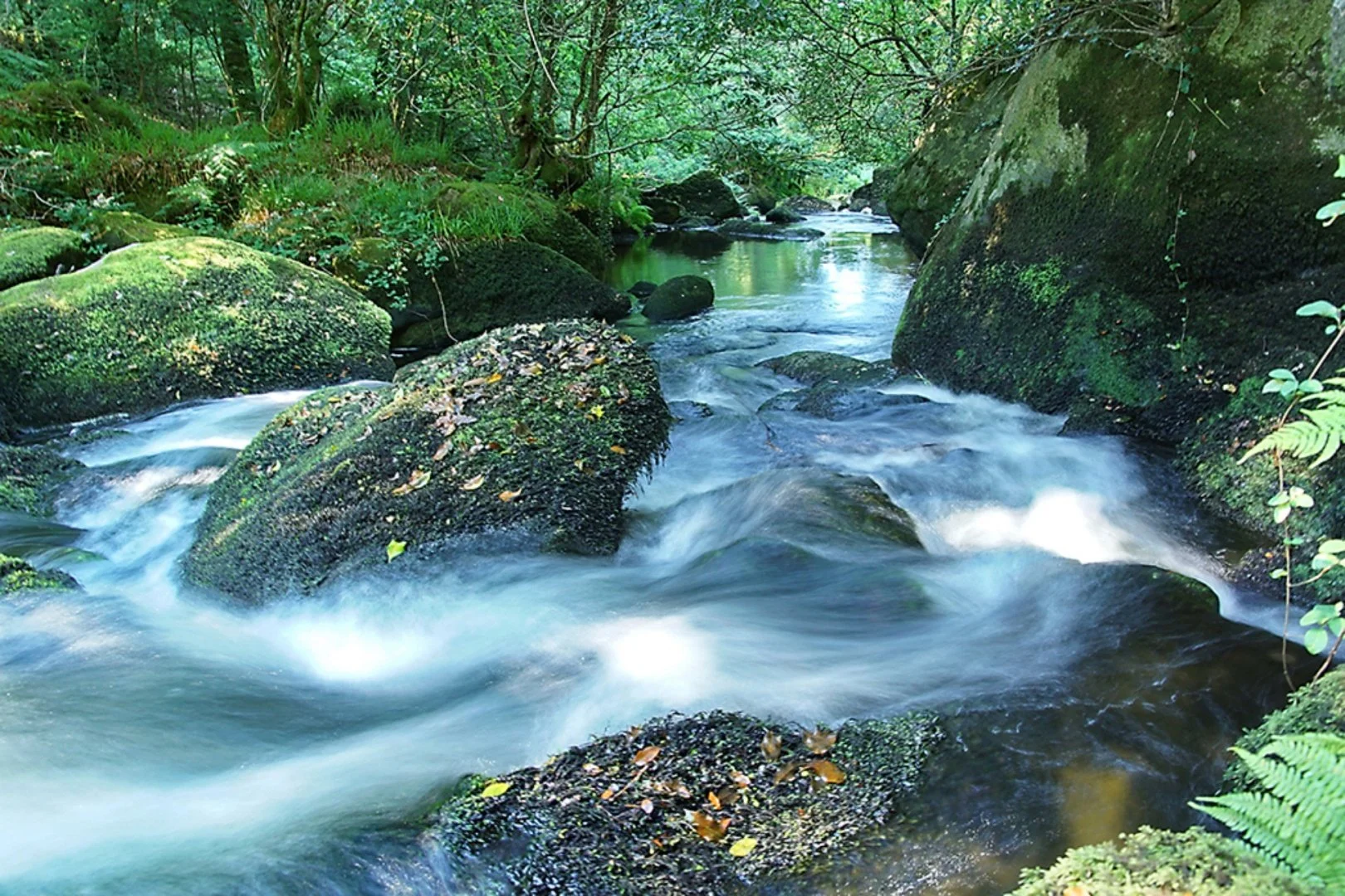 Rivière-de-Priziac.jpg