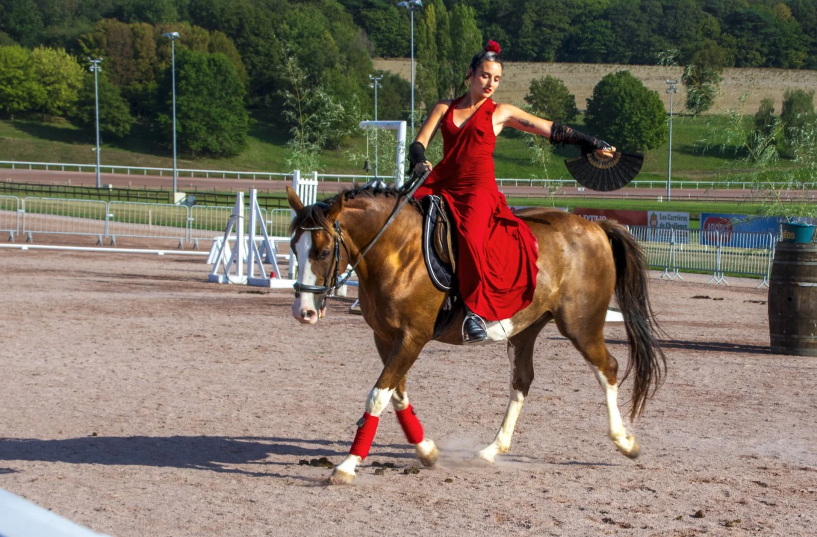 LavIma4986.jpg