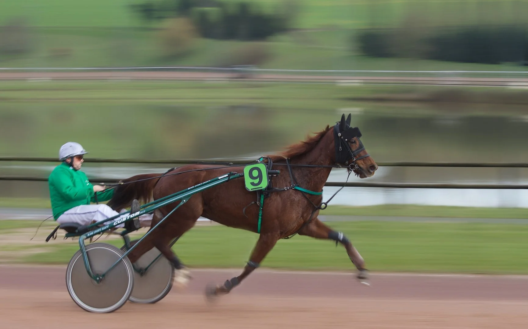 Trot-cest-trop.jpg