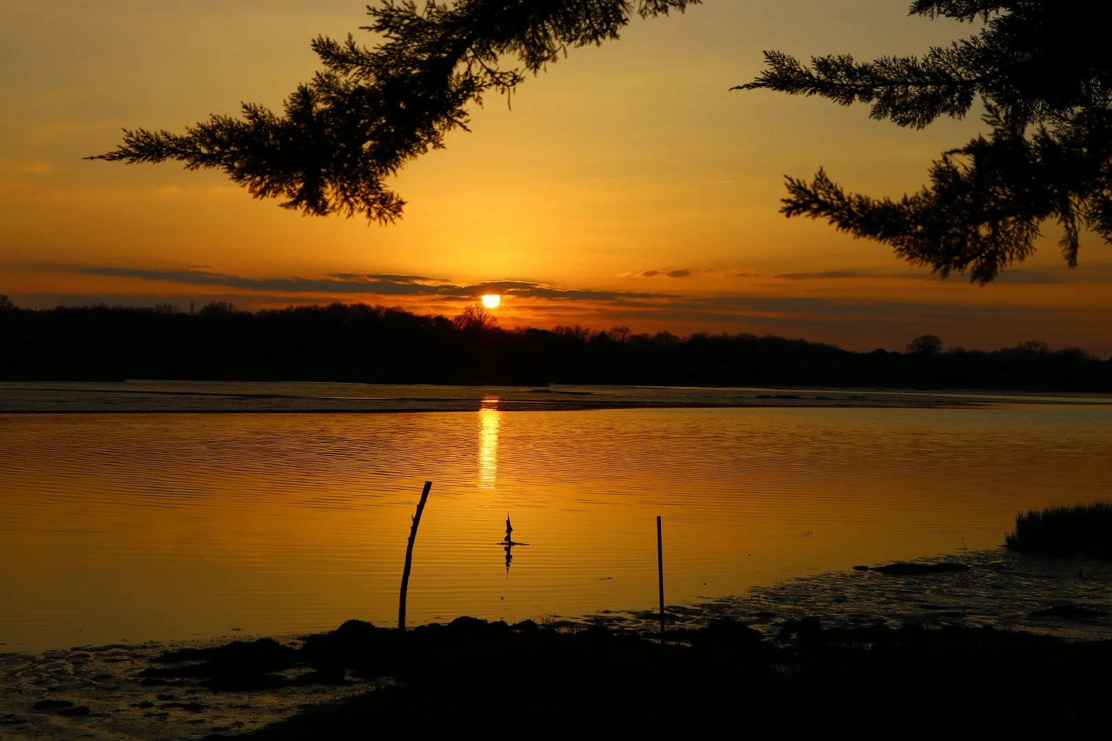 Marie-Laure-expo-2-Coucher-de-soleil-a-Sene.jpg