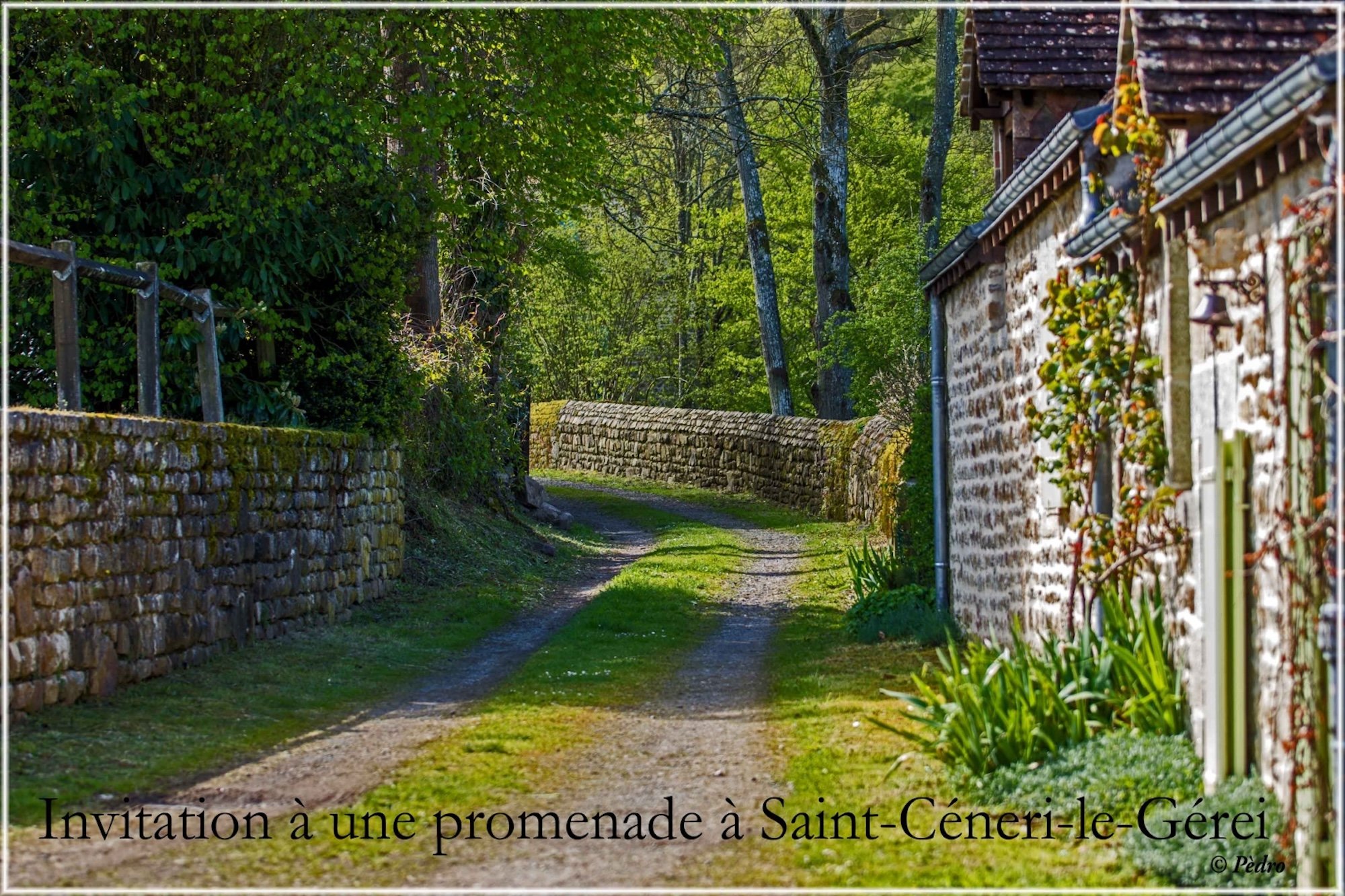 Promenade-à-Saint-Céneri-10.jpg