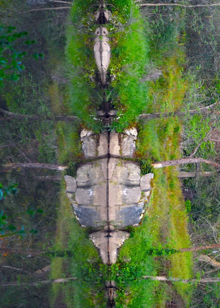Pareidolie_Quezako.jpg