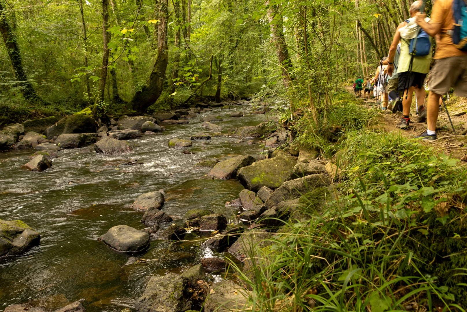 Gorges-de-la-Rouvre.jpg