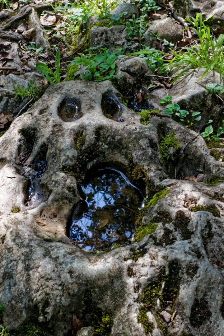 VisageOuTraceDePatte.jpg