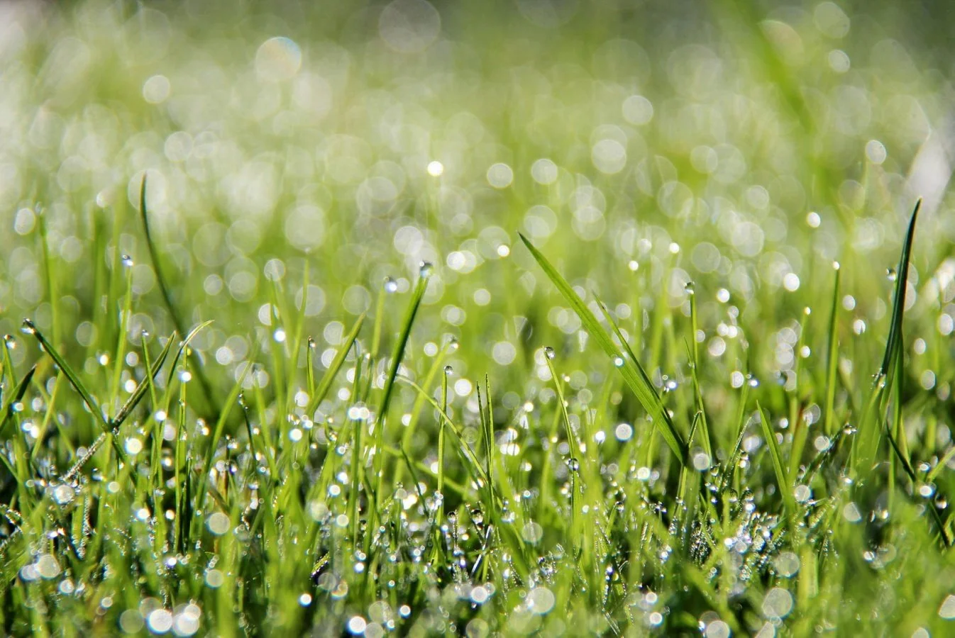 Goutte-à-goutte.jpg