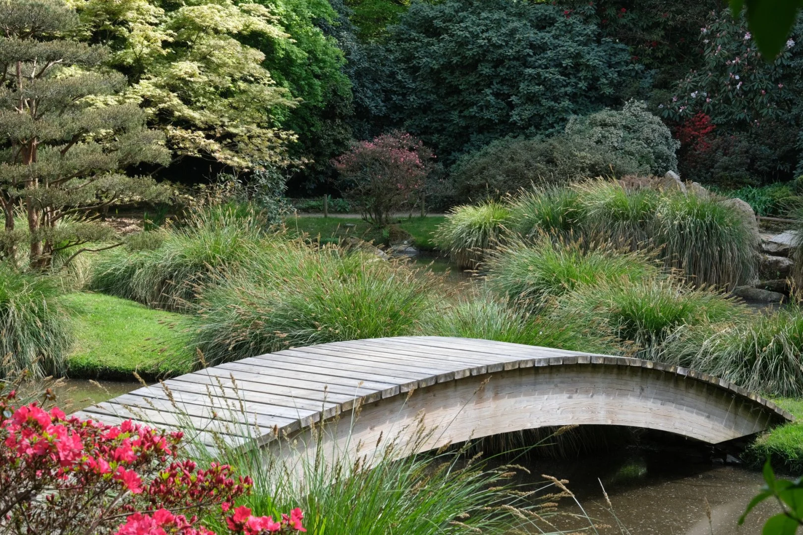 Parc-paysager_1.jpg