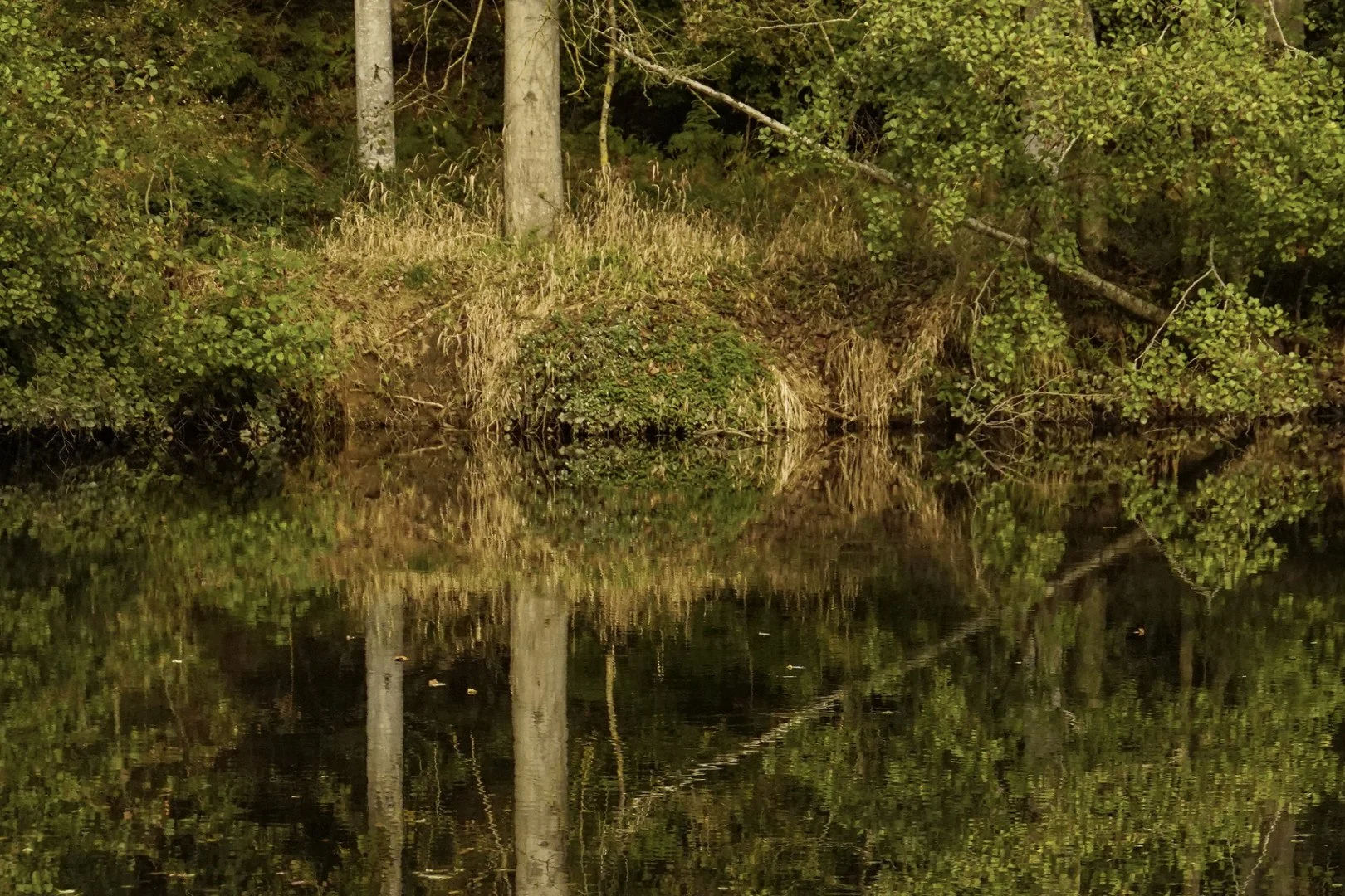 sur-le-halage.jpg