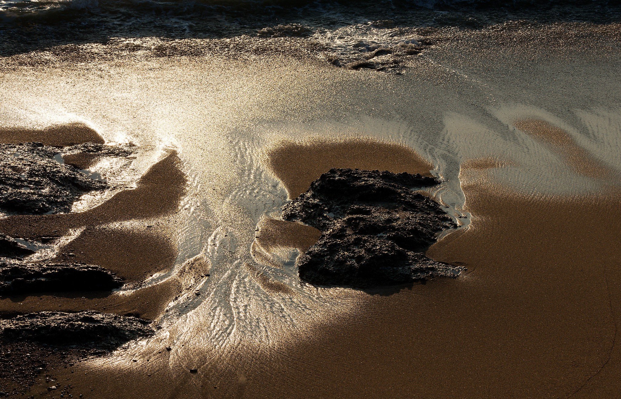 LM0A4354_DxO.jpg