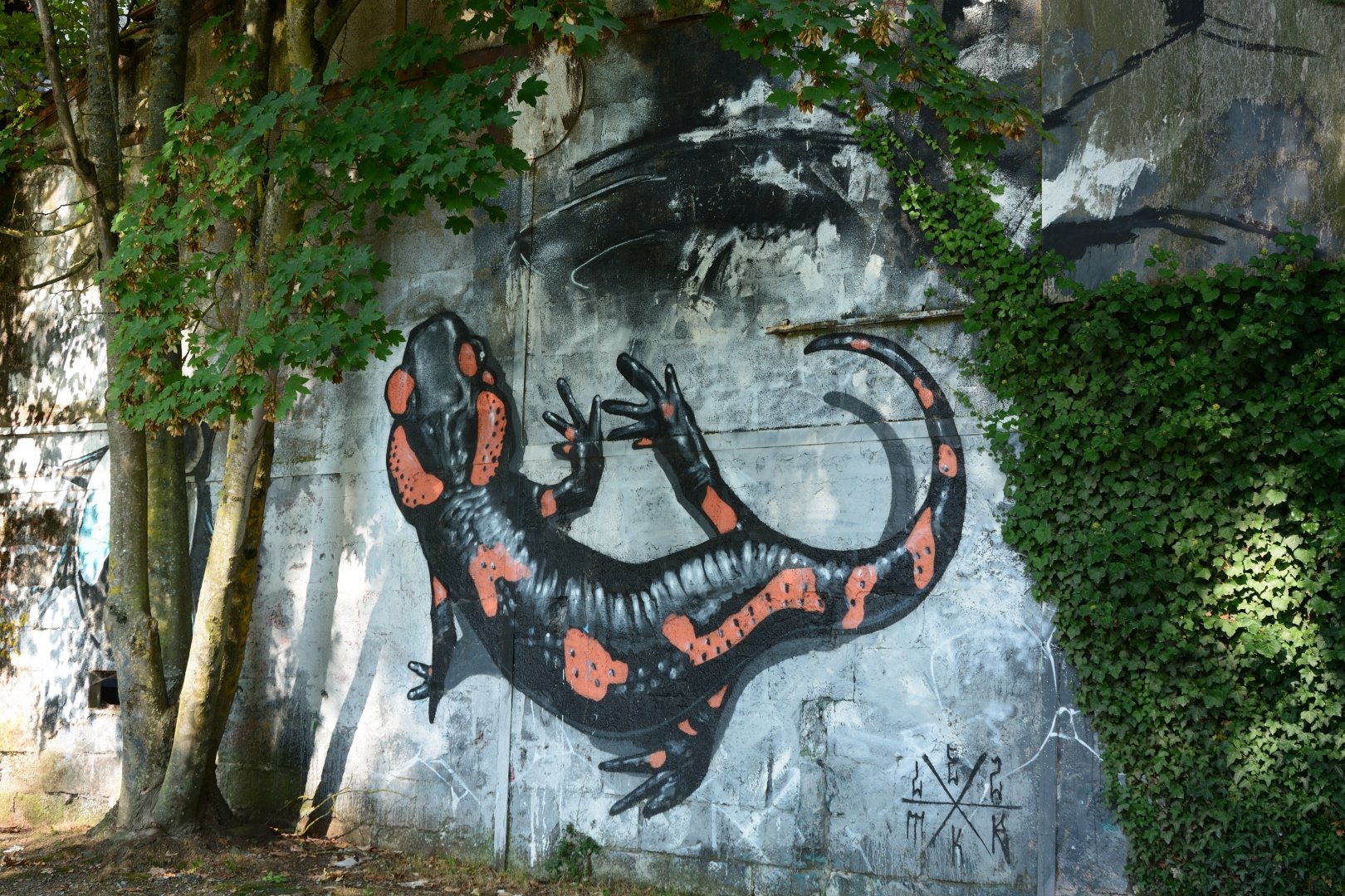 Salamandre.jpg