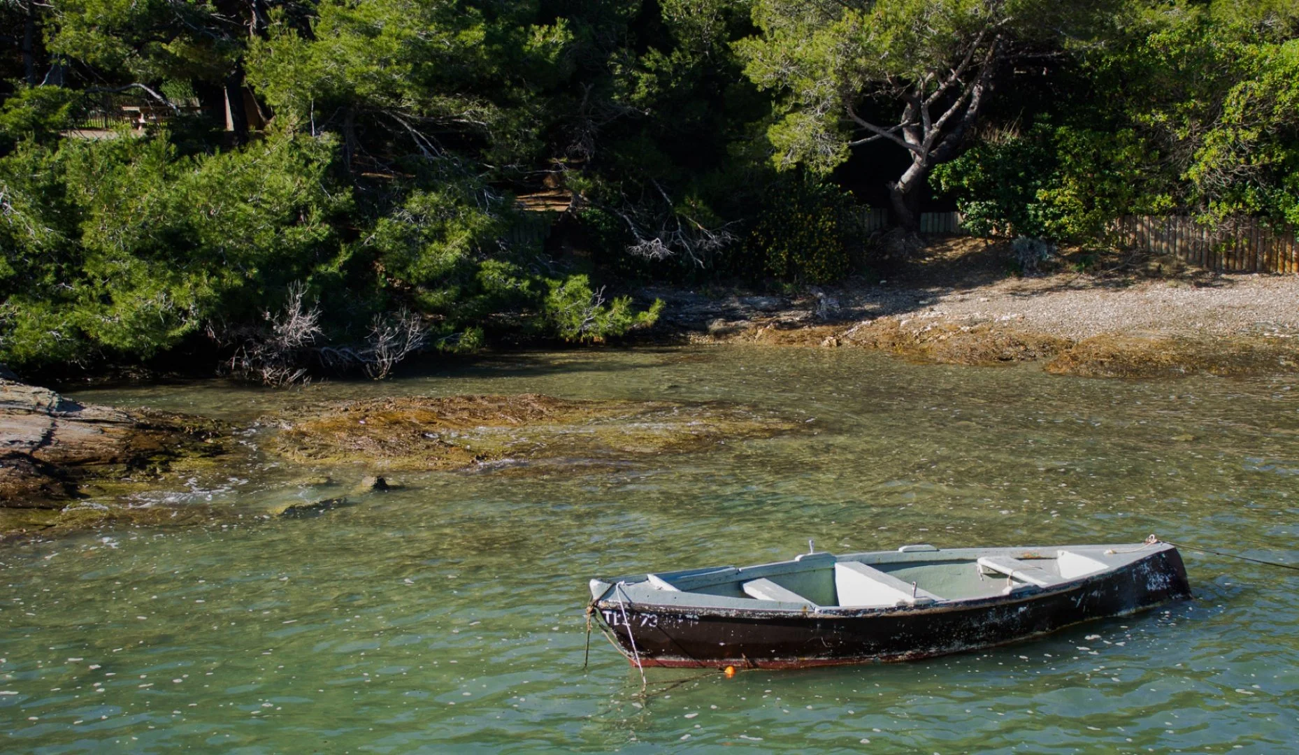 Petit-coin-de-Paradis...Pointe-du-Gaou-VAR.jpg