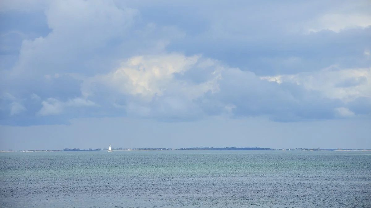38JDRe_2013_DSC3641_01.JPG