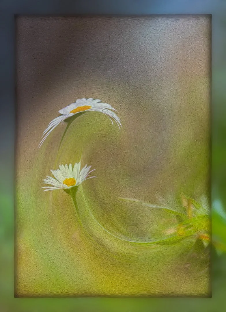 Tourbillon-du-printemps-.jpg