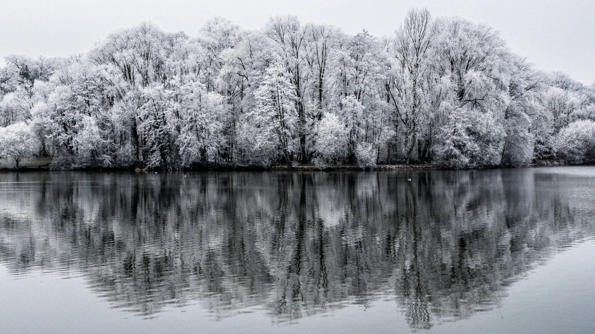 Décembre 2016