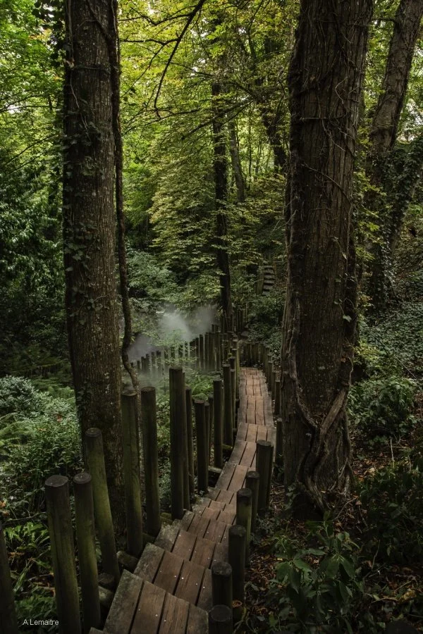 4-Chemin-des-brumes.jpg