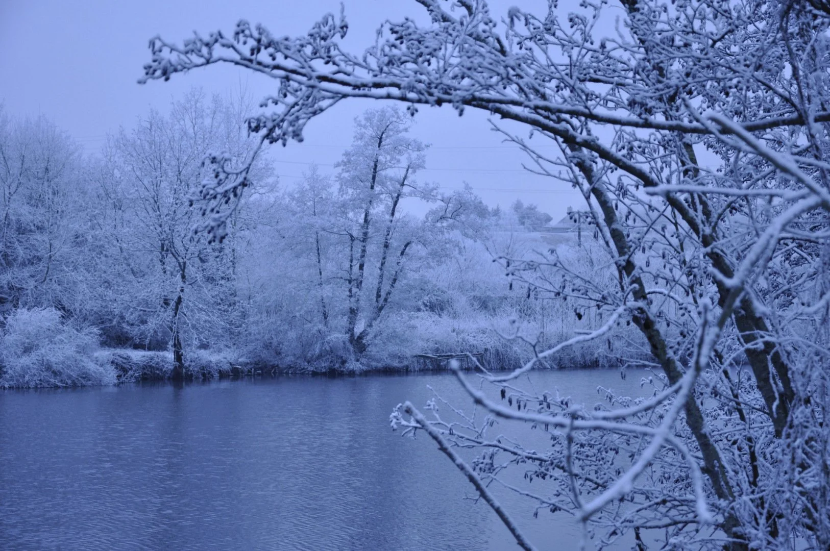 Laval-Image-Defi-Photos-60-ans-Climat-016.jpg