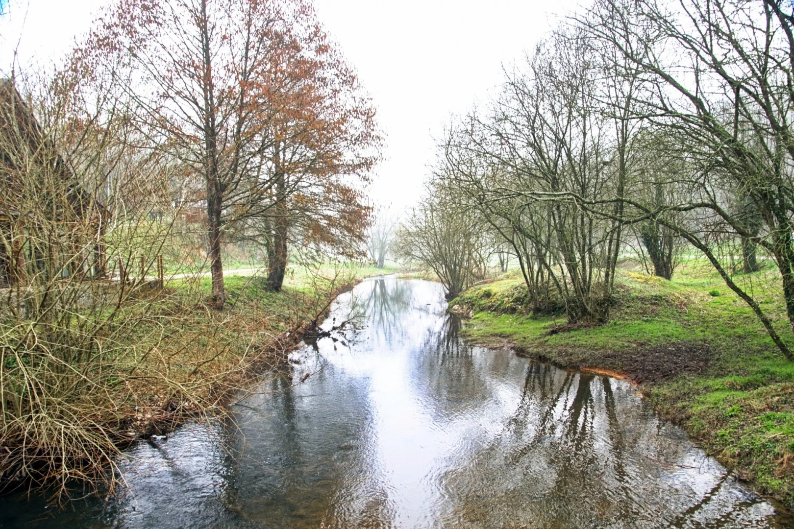 Seul-un-beau-matin-de-brouillard.jpg