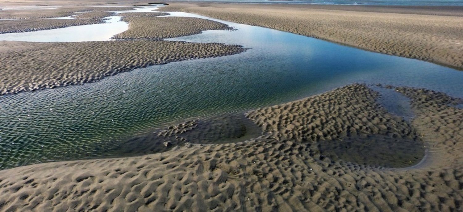 promenade-dans-la-baie-de-Somme-2.jpg