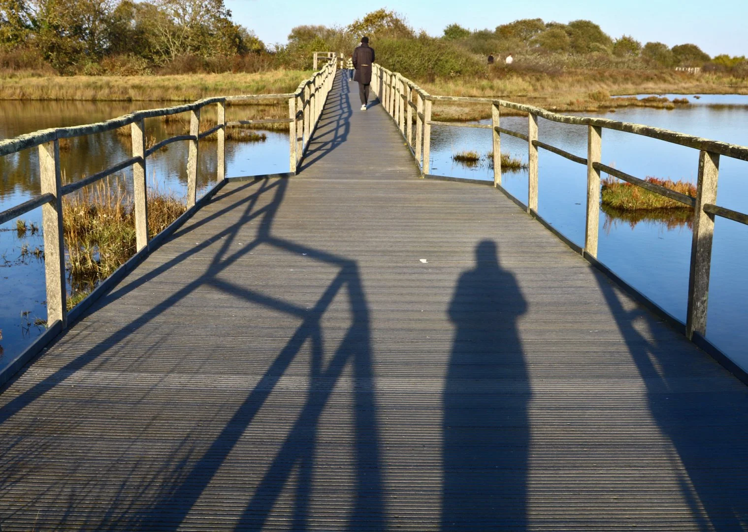 ombres-et-silouhettes.jpg