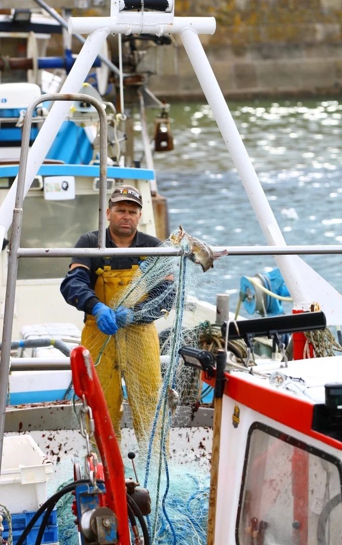 Retour-de-pêche.jpg