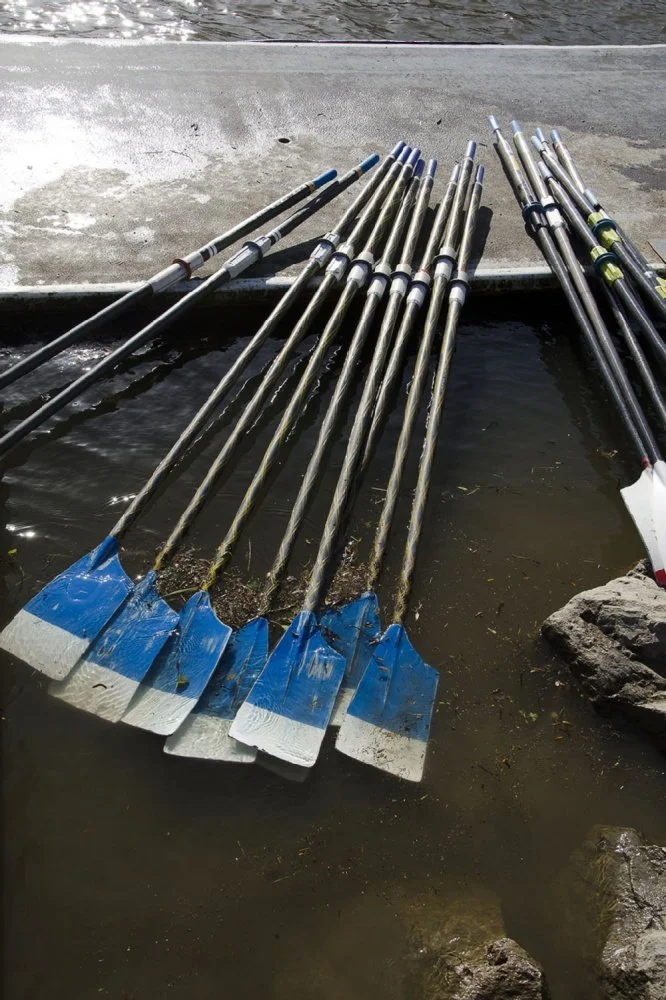 29-aviron1.jpg