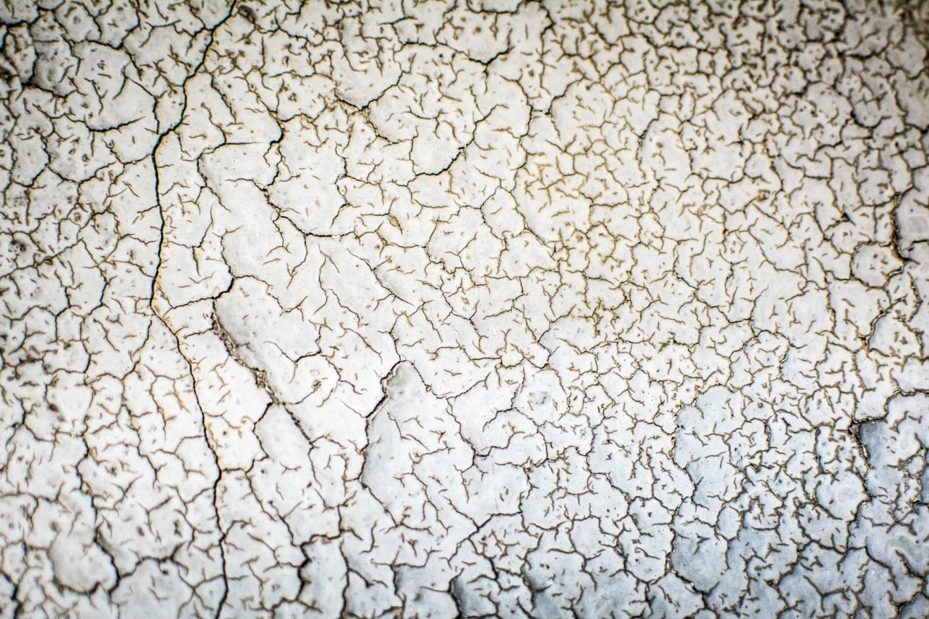details-14.jpg