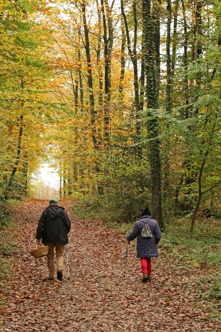 Les-cueilleurs-de-champignons.JPG