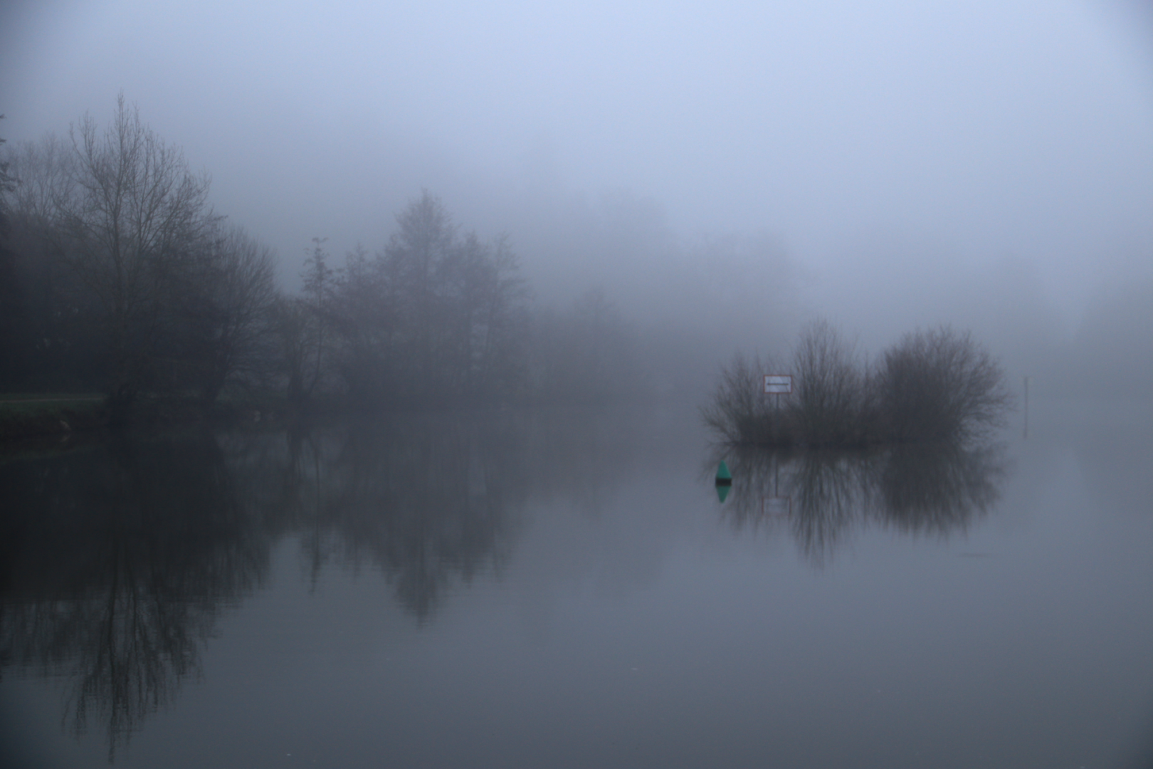 IMG_0056-1-Laval-image.png